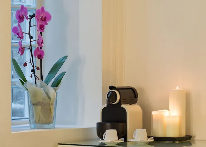 Avenue Boutique فندق