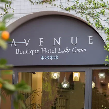 Hotel Avenue 4*